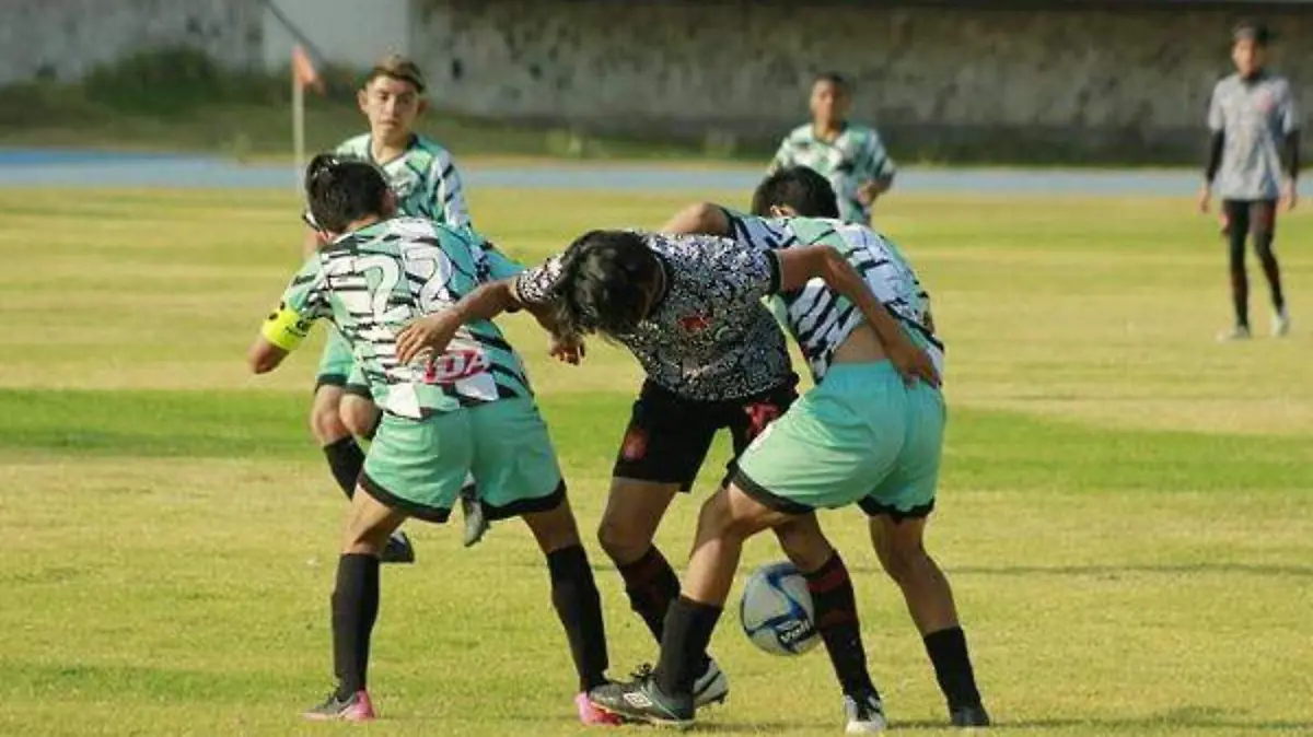 CUERVOS 1